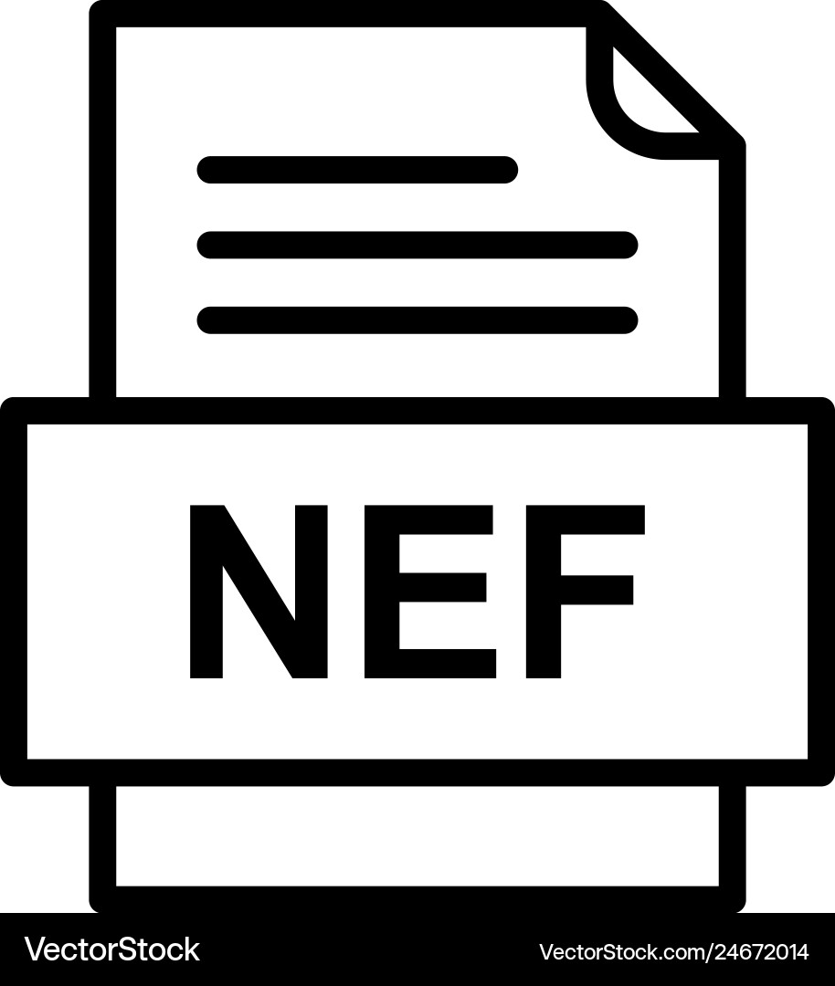 Nef file document icon vector image