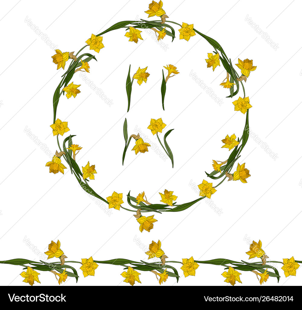 Set with yellow daffodils Vector Image