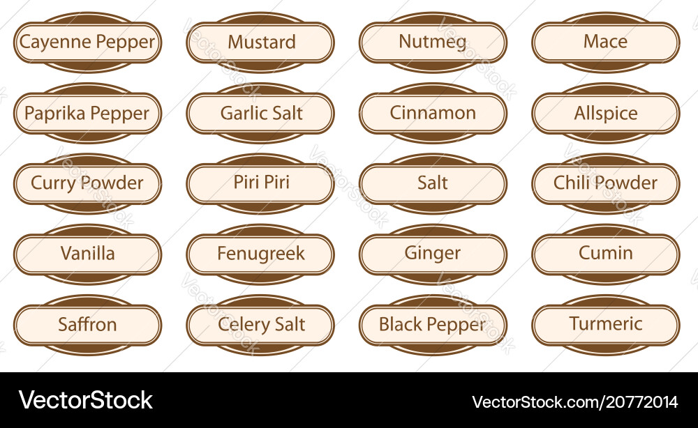 Spice web buttons vector image