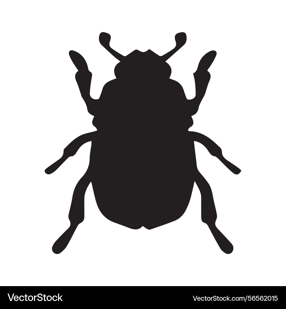 Beetle in art Vector Image