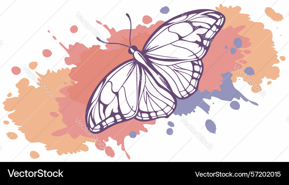 Elegant butterfly with abstract background vector image