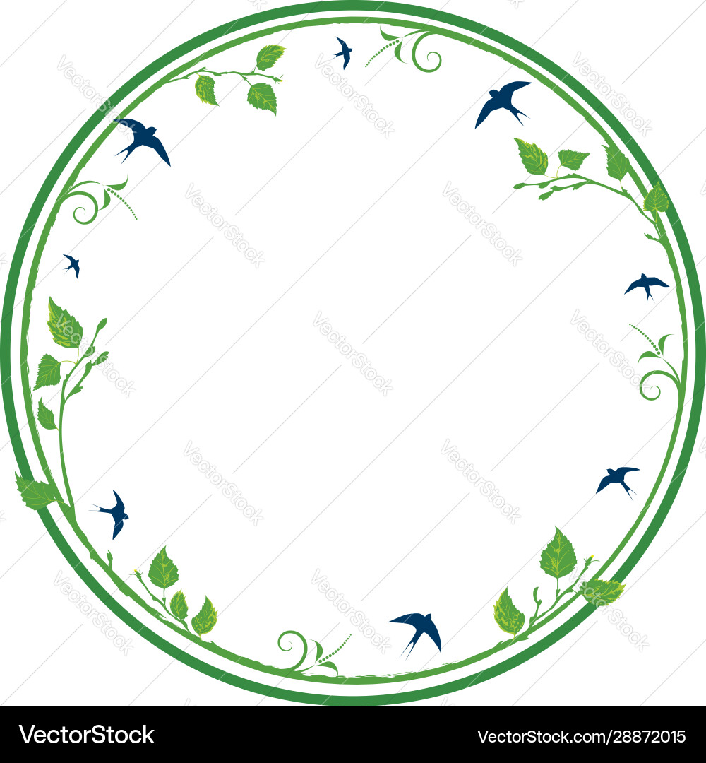 Frame with swallow and birch vector image