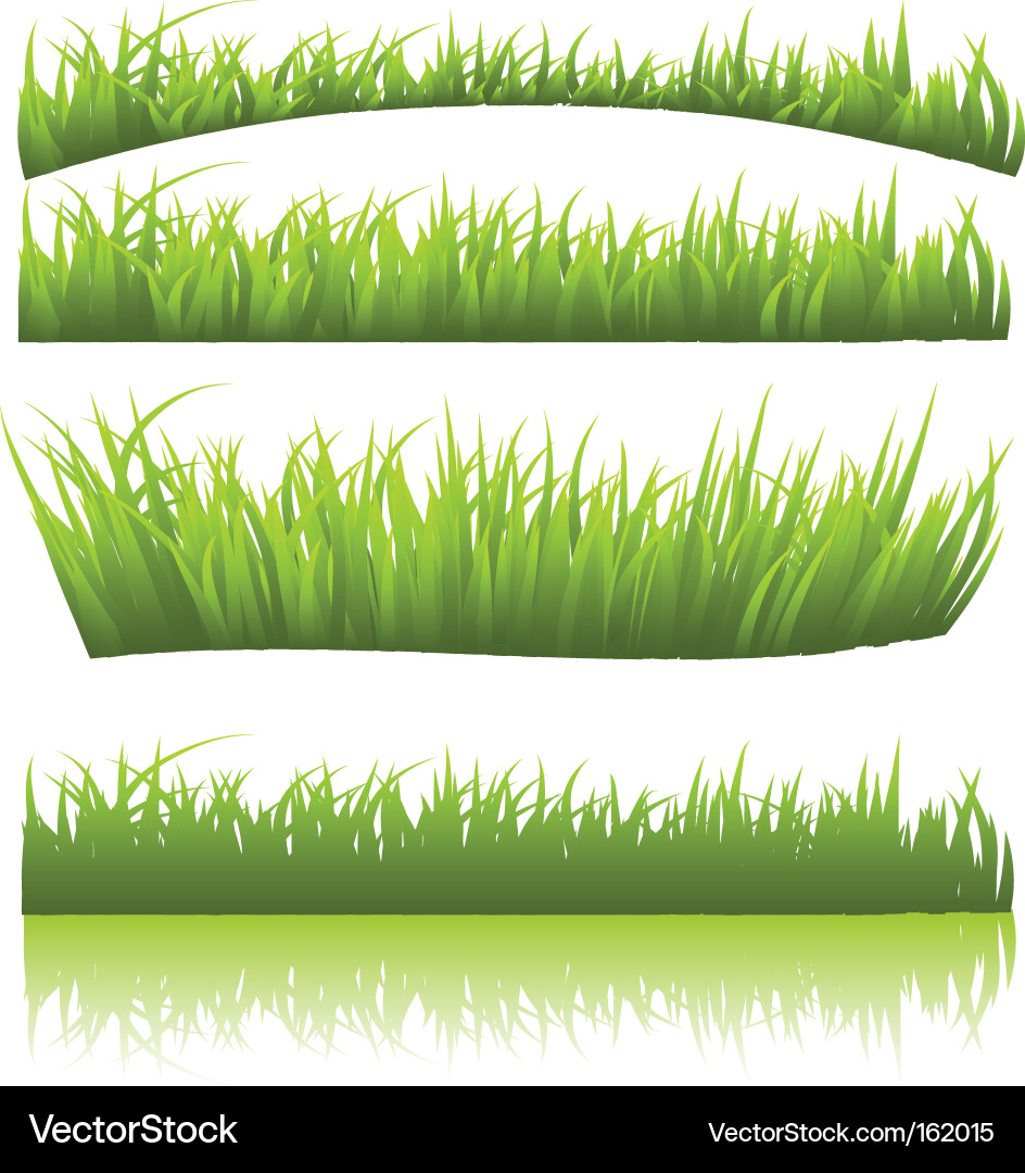 Green Grass Pattern vector image
