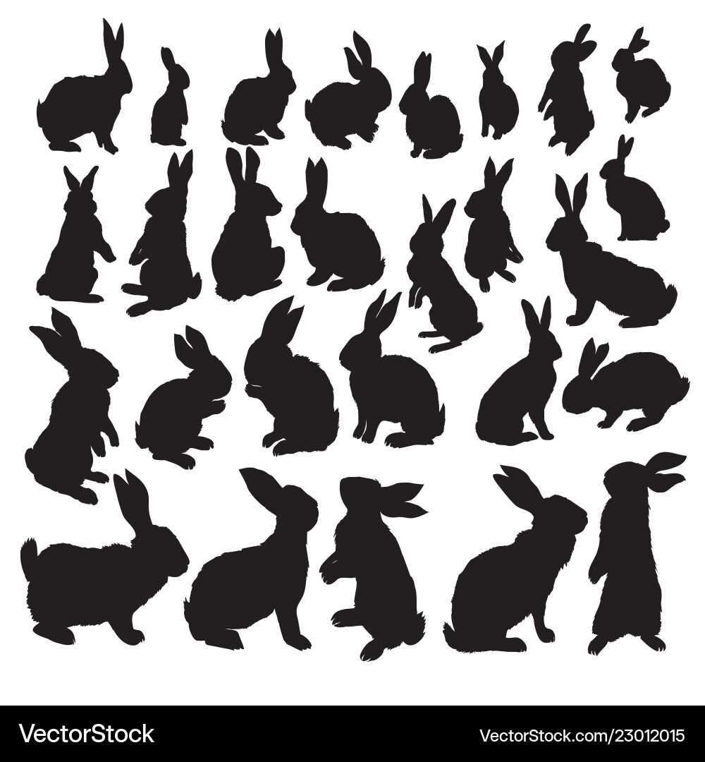 Rabbit set isolated on white background Rabbit set isolated on white background vector image