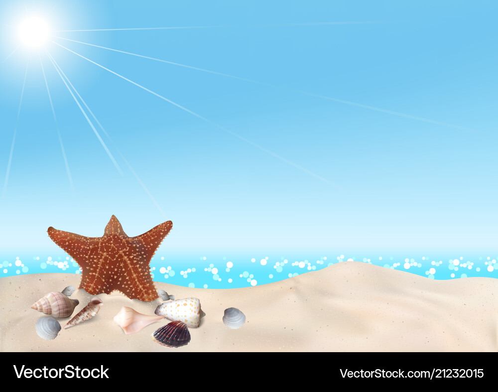 Seashore Seashells - Beach Background vector image