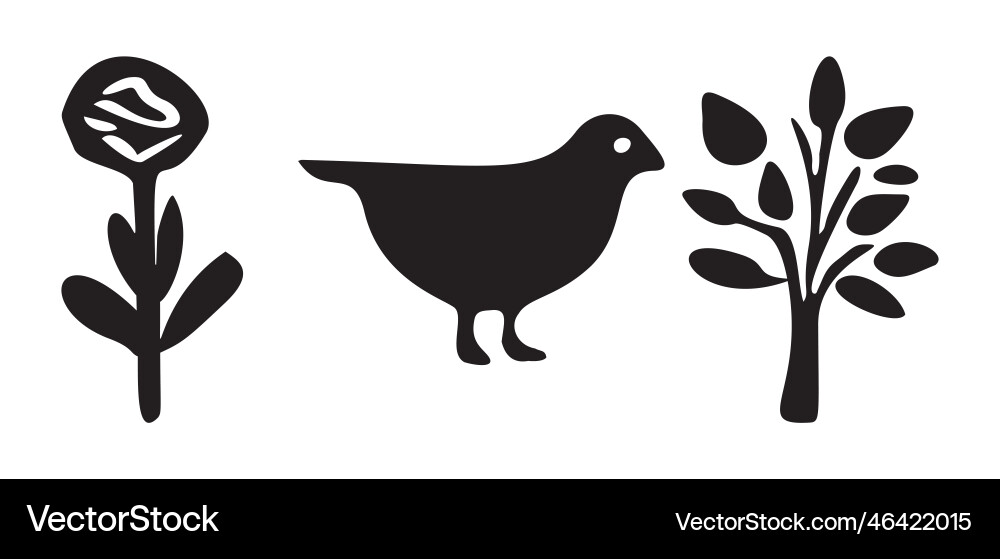 Set of bird and botanical motif collection Vector Image
