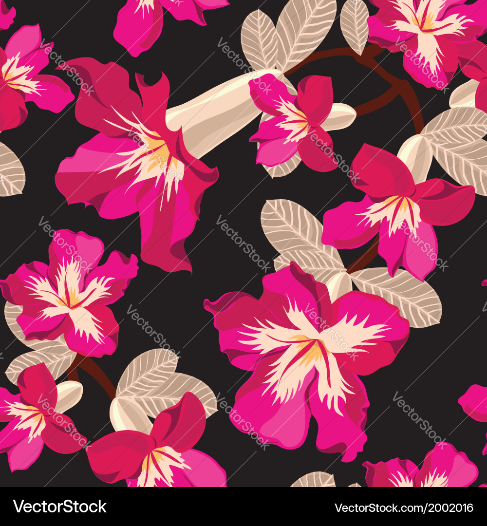 Beautiful seamless floral pattern Vector Image