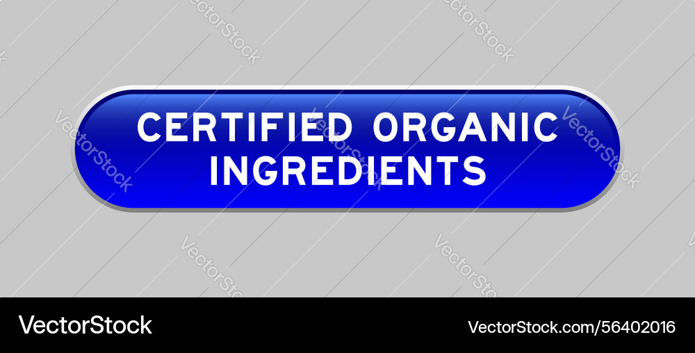 Blue color capsule shape button with word Blue color capsule shape button with word vector image