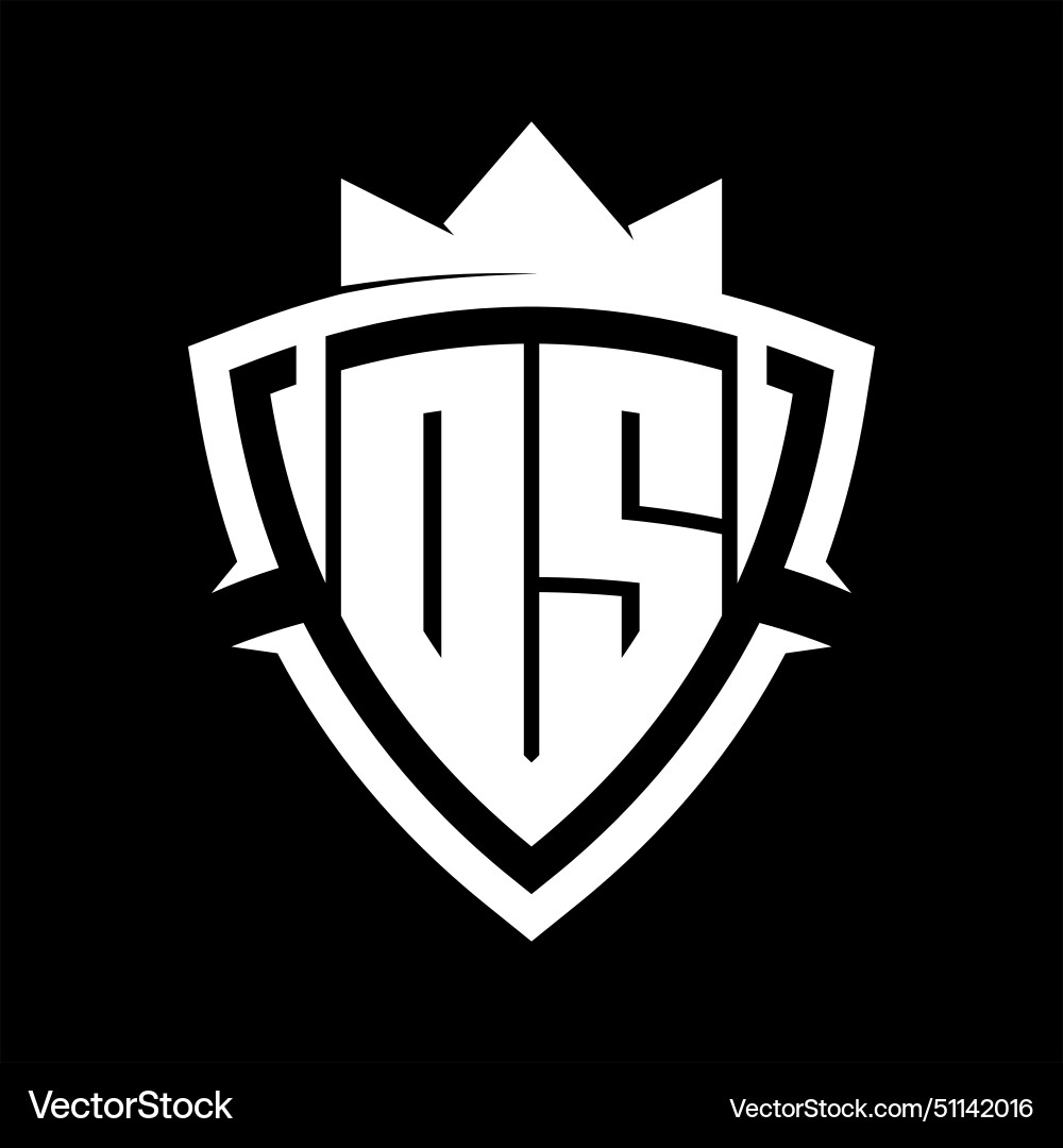Ds letter monogram with triangle curve shield Vector Image