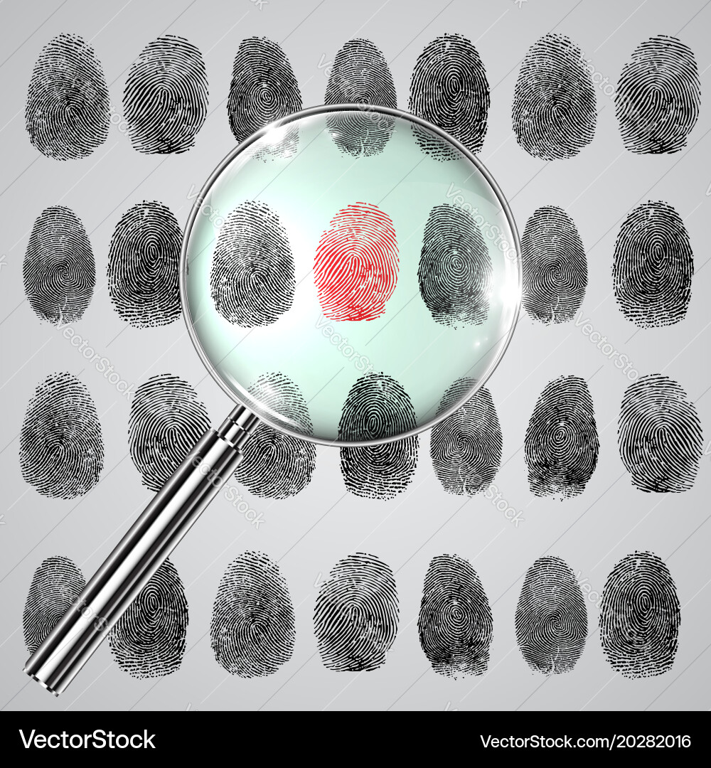 Fingerprint Analysis with Magnifier vector image