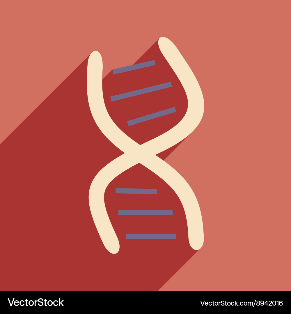 Flat with shadow icon and mobile application genes vector image