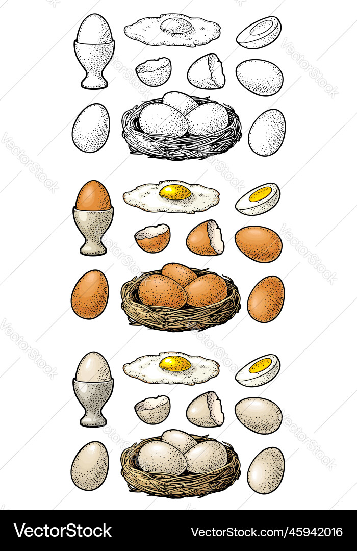 Fried and boiled chicken eggs with broken shell Fried and boiled chicken eggs with broken shell vector image