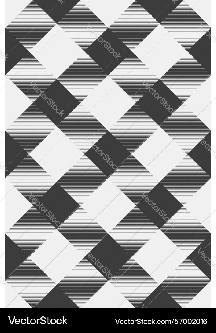 Ornate textile fabric texture checked pattern Vector Image