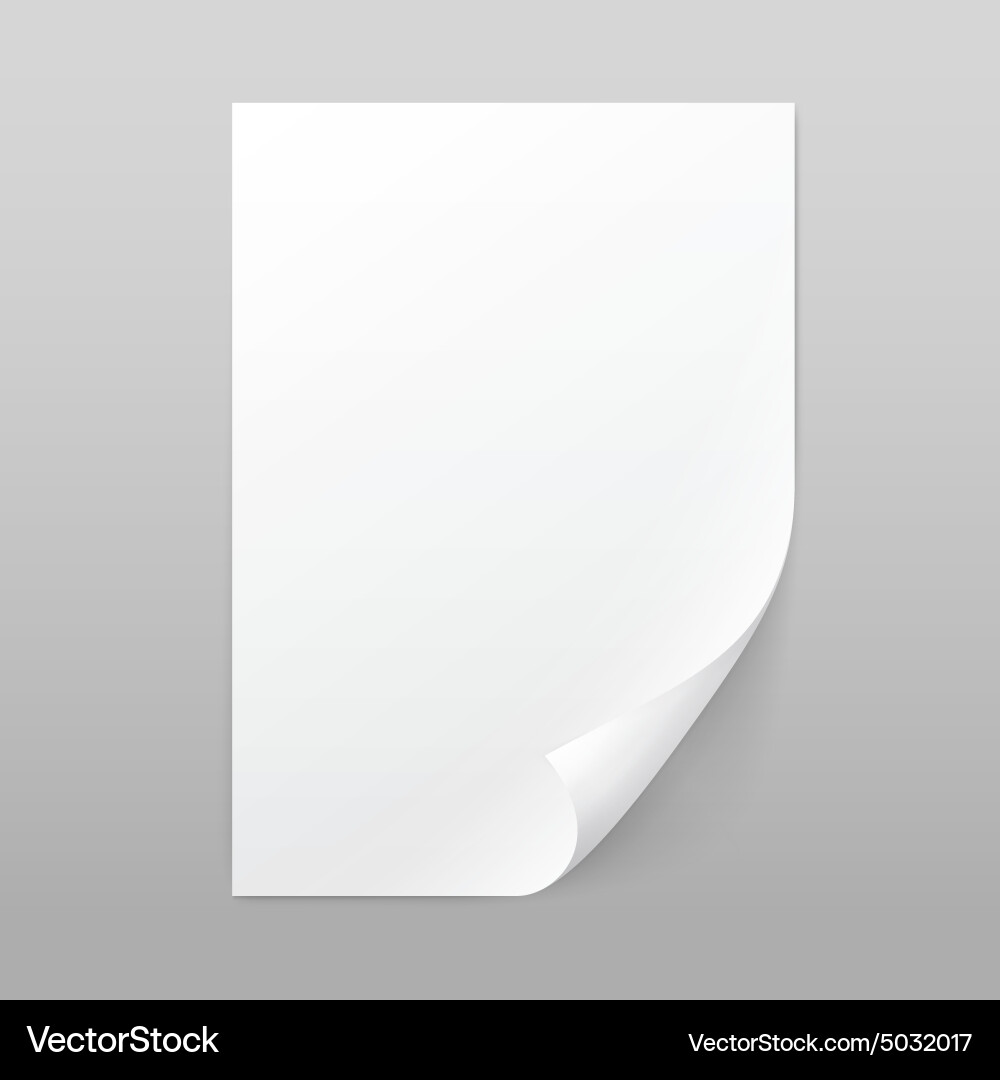 White Paper Sheet with Curl Edge vector image
