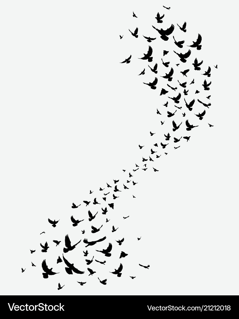 Black Silhouette of Flying Birds Vector Image