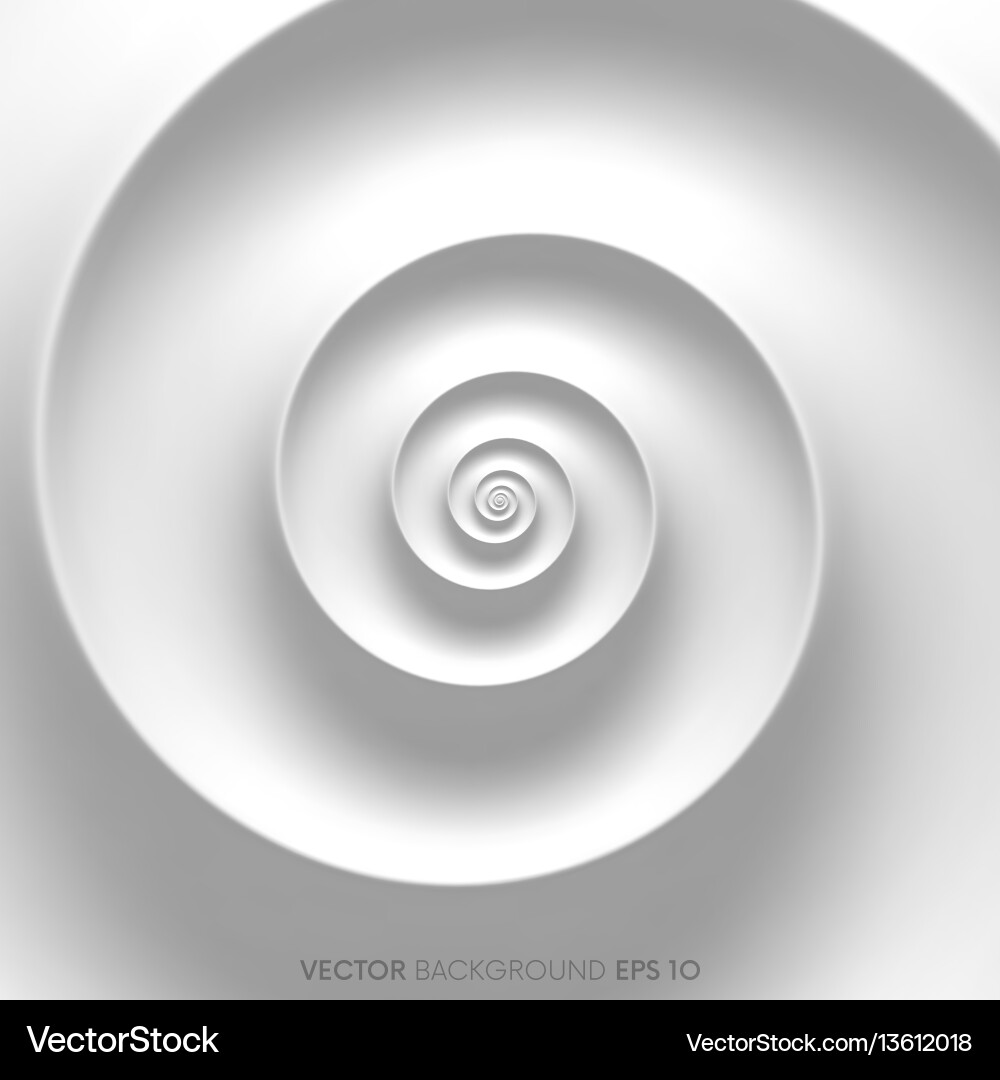 Fibonacci Spiral - White Abstract vector image