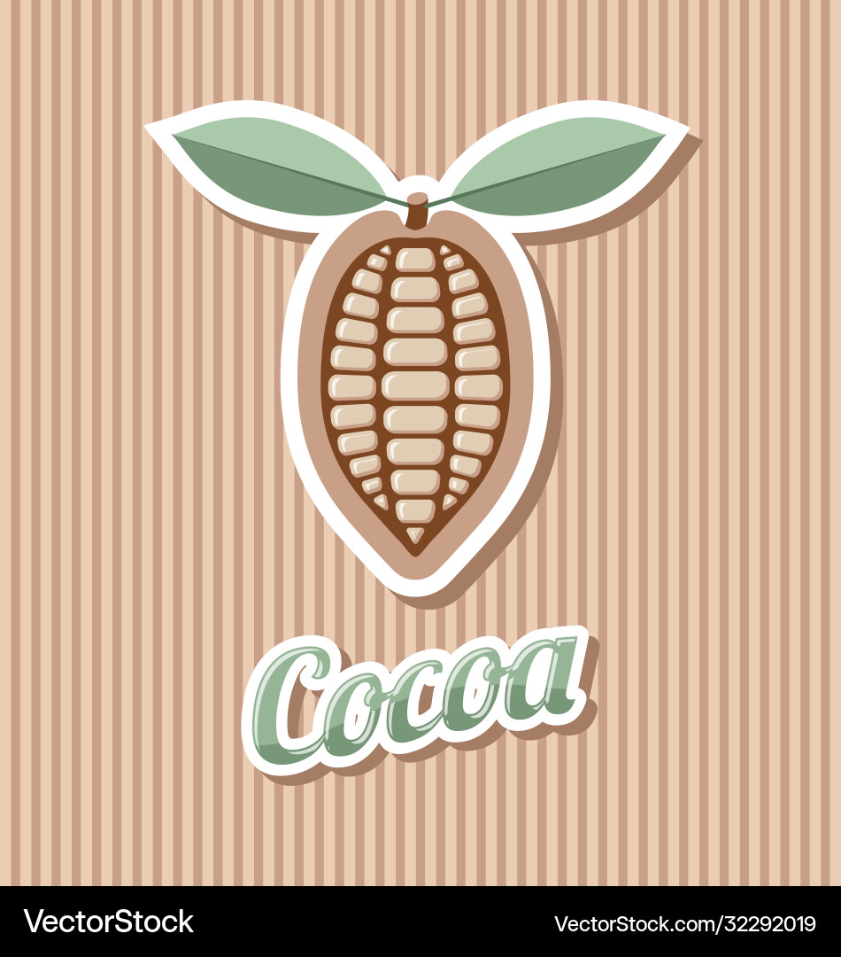 Retro cocoa bean on striped background Retro cocoa bean on striped background vector image