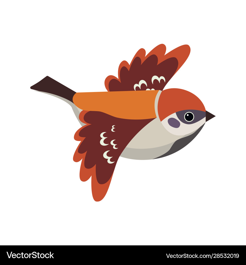 Sparrow Vector Image