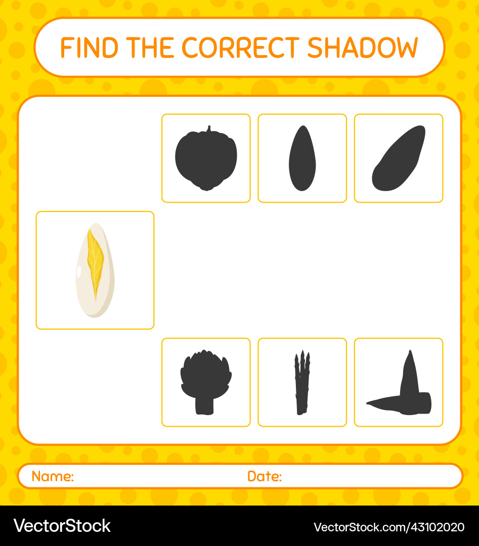 Find the correct shadows game with witloof Find the correct shadows game with witloof vector image