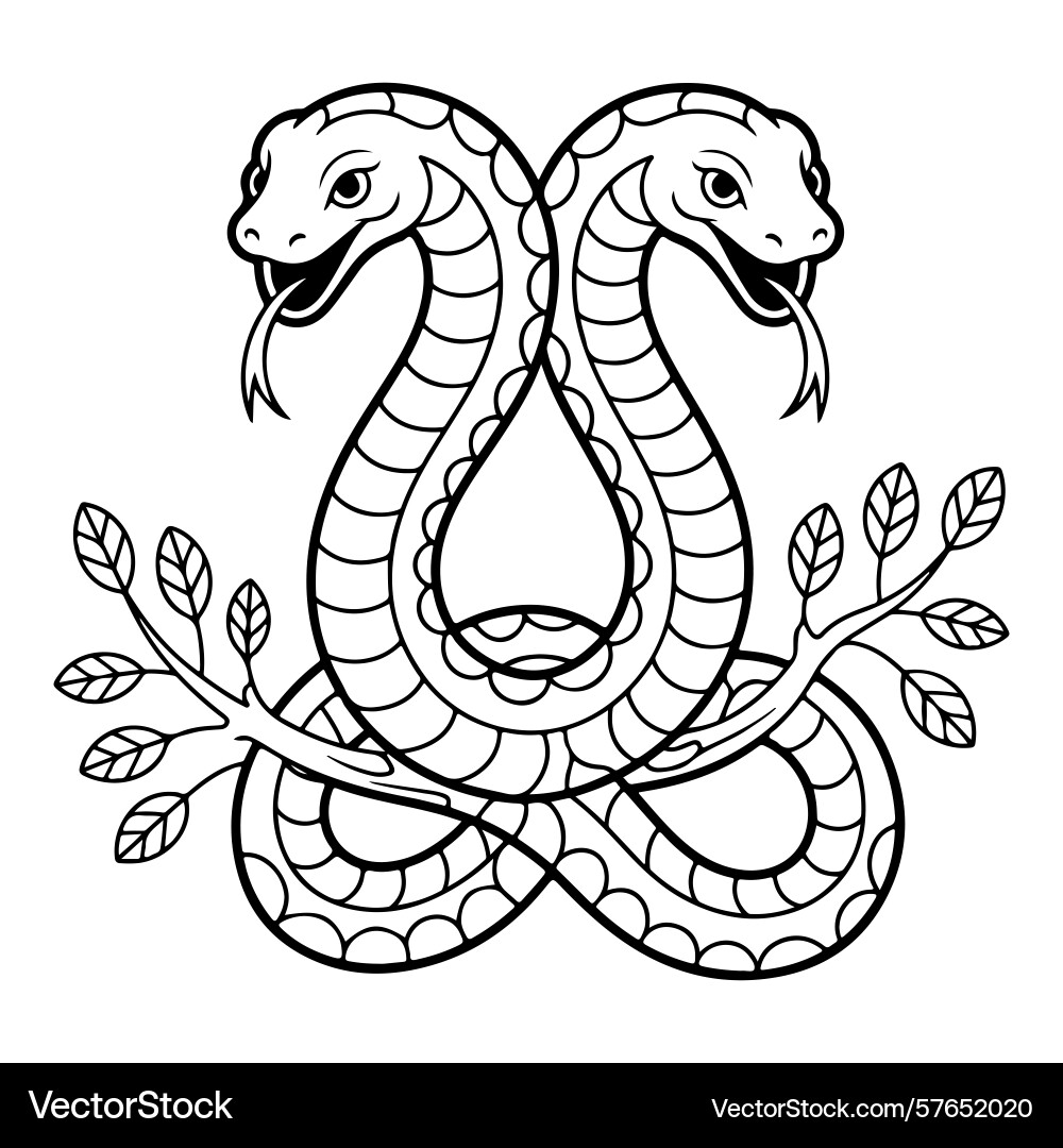 Two headed snake entwined with branch line art Vector Image