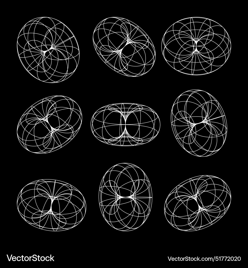 Wireframe shapes lined torus perspective mesh Wireframe shapes lined torus perspective mesh vector image