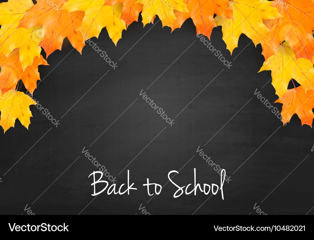 Autumn blackboard background with realistic maple Vector Image