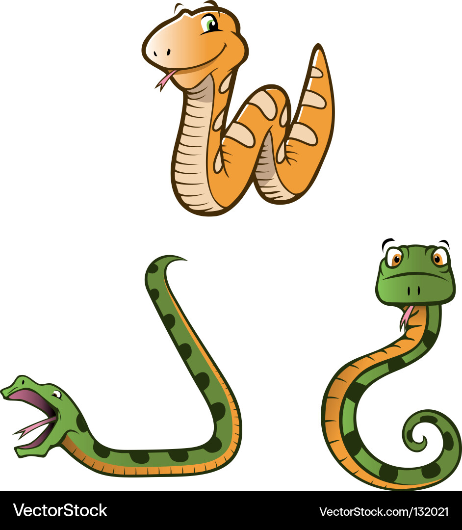 Cartoon Python Snake vector image