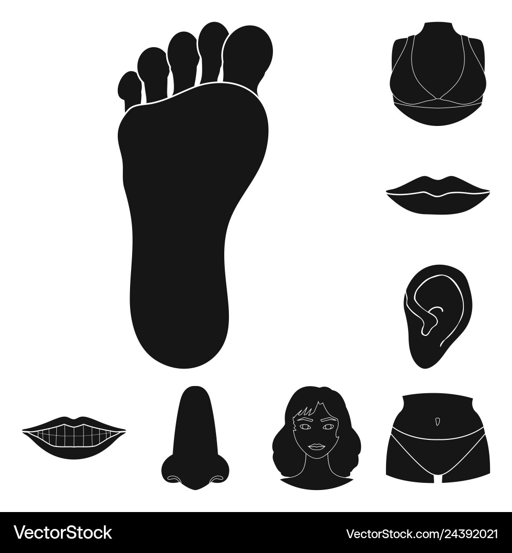 Design of body and part symbol set Design of body and part symbol set vector image