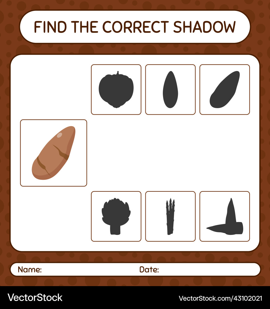 Find the correct shadows game with yam root vector image