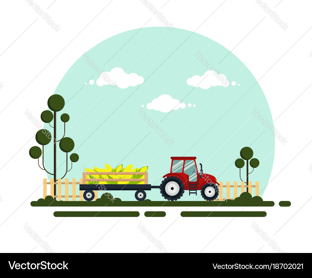 Flat red tractor with a cart corn Vector Image