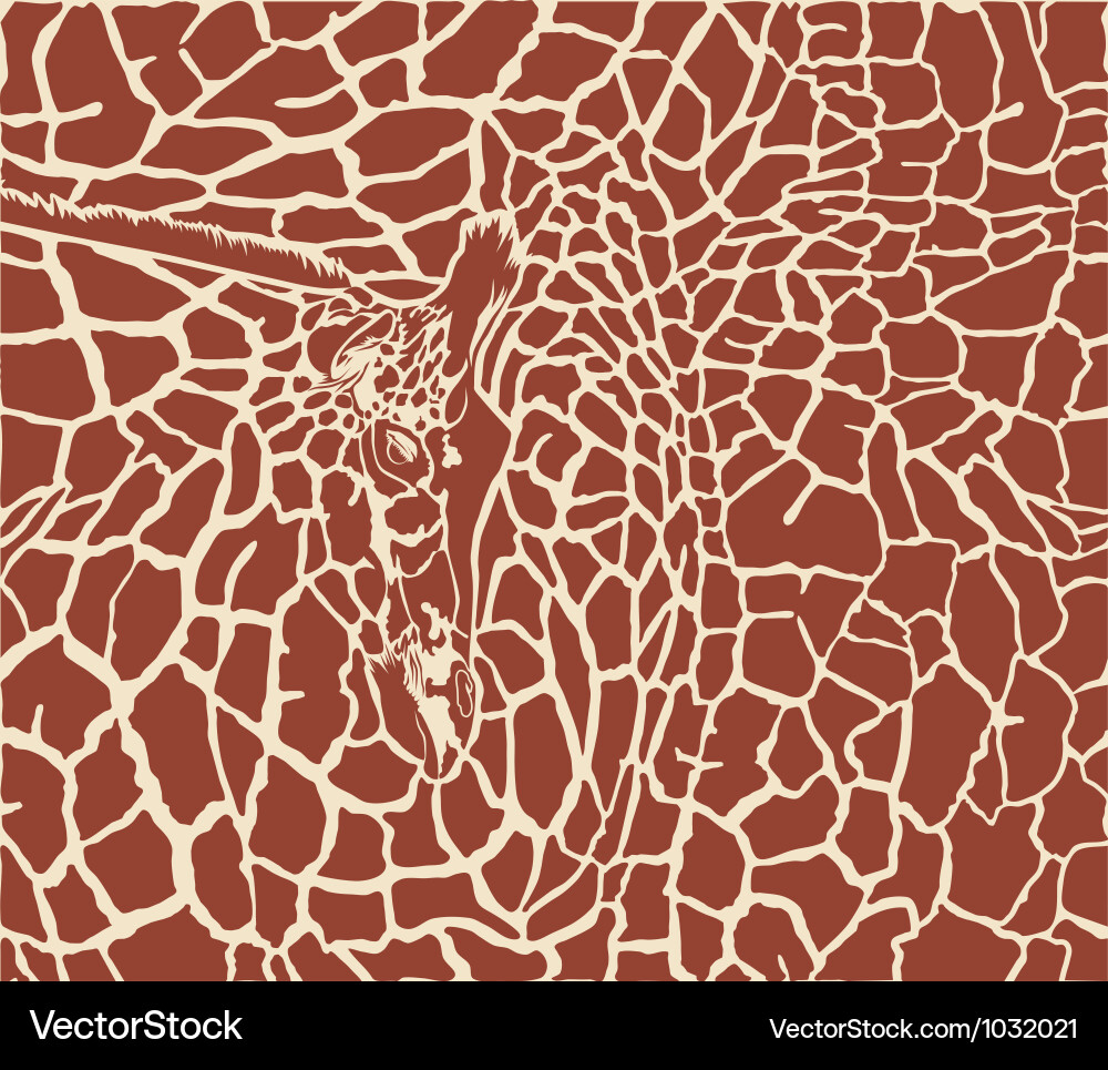 Giraffe pattern color background vector image