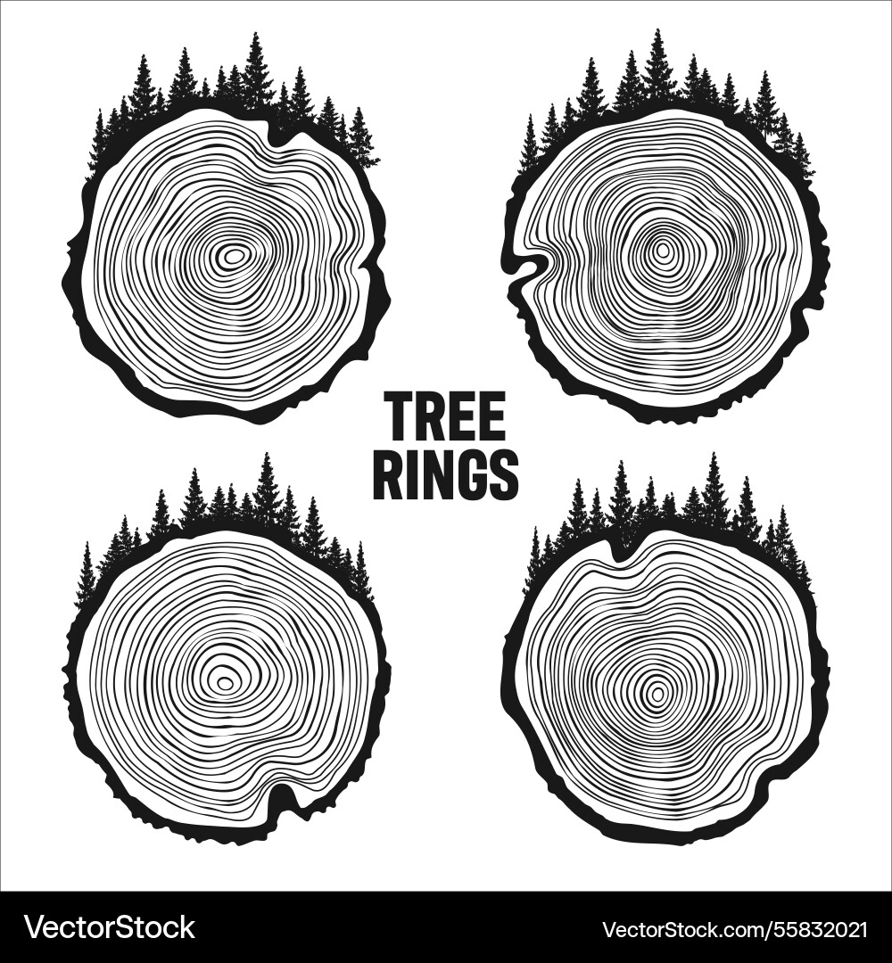 Round tree trunk cuts with trees and forest sawn Round tree trunk cuts with trees and forest sawn vector image