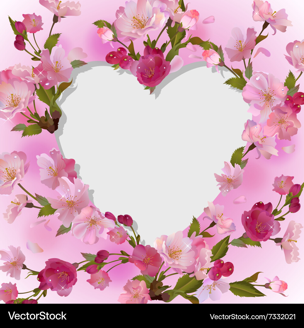 Spring Cherry Blossom Heart Background – Royalty-Free Vector | VectorStock, image size:1000x1080