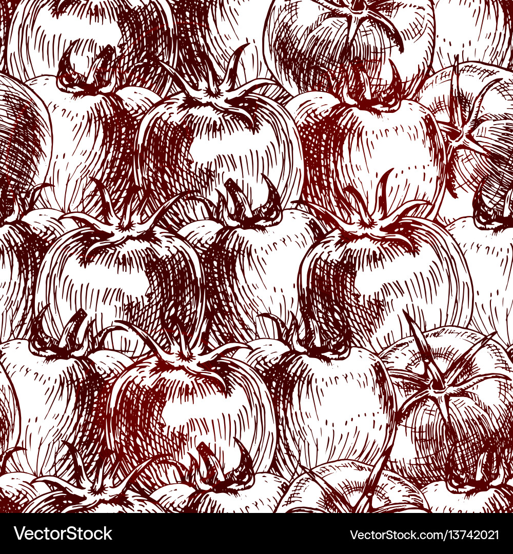 Tomato Seamless Pattern Vector Image