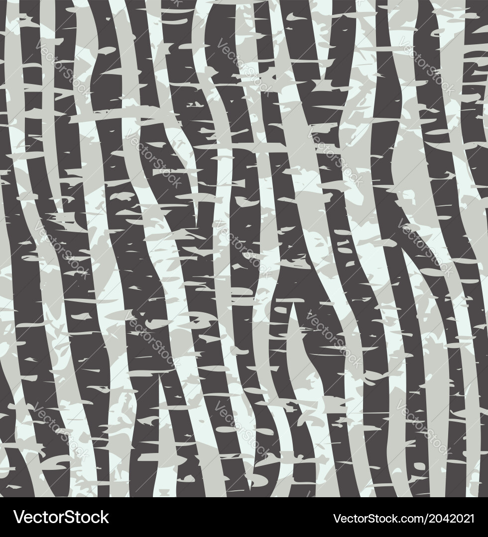Zebra Skin Texture Pattern Vector Image