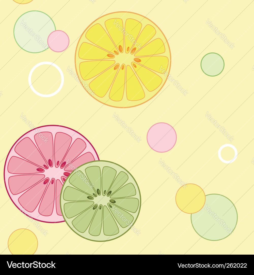Citrus seamless pattern vector image