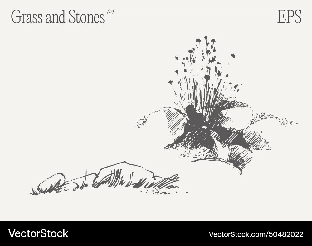 Grass and rocks on blank backdrop sketch Grass and rocks on blank backdrop sketch Vector Image
