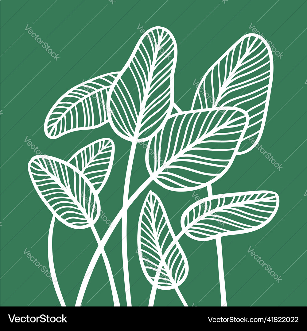 Group of abstract leaves in linear sketch style Group of abstract leaves in linear sketch style Vector Image