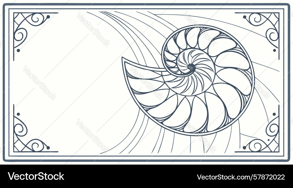 Nautilus shell design for organic patterns ocean Vector Image