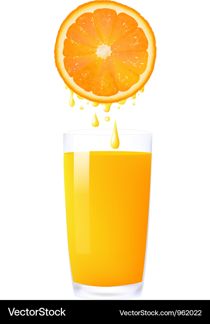 Orange Juice Splash Royalty Free Vector Image - VectorStock