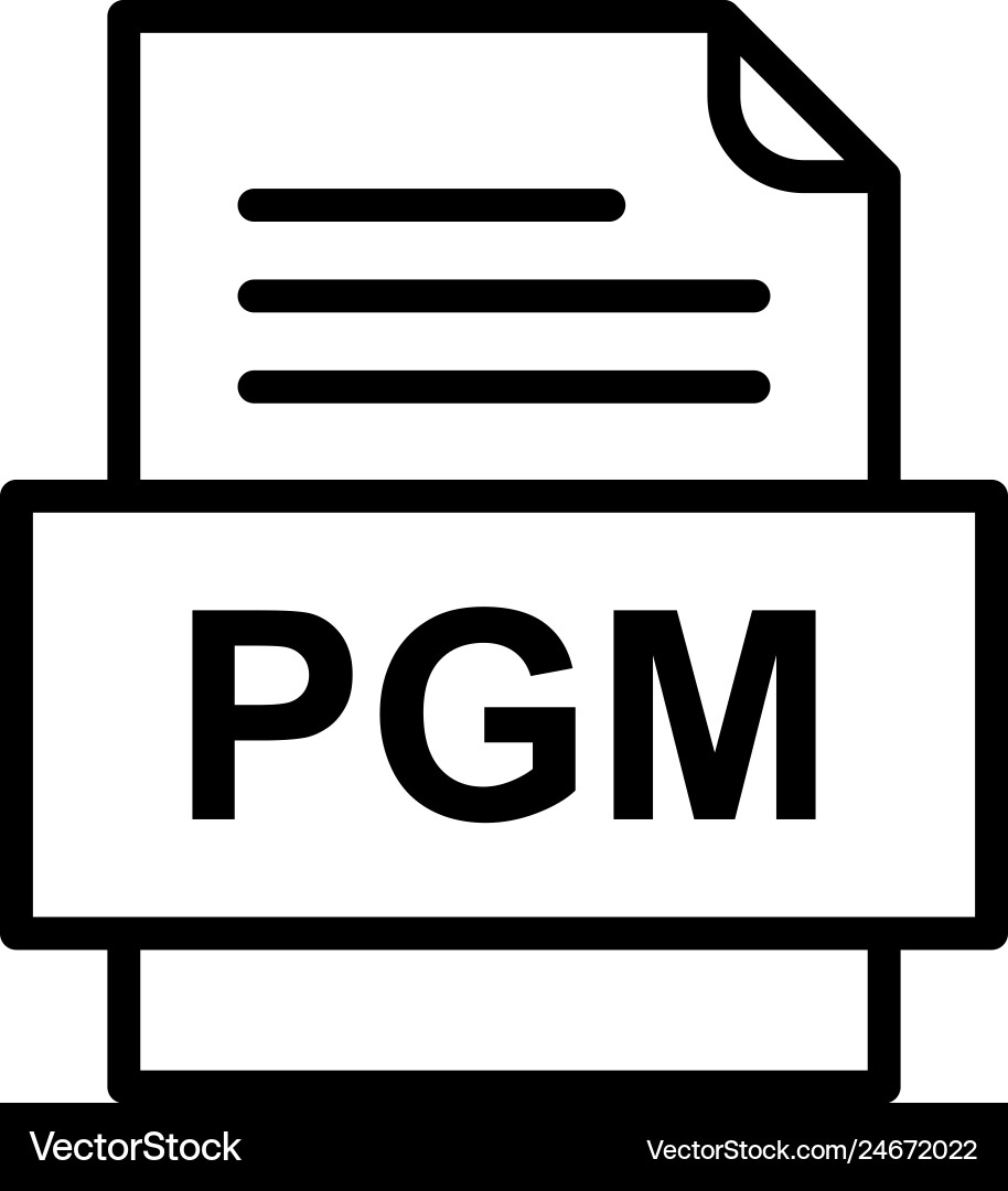 Pgm file document icon vector image