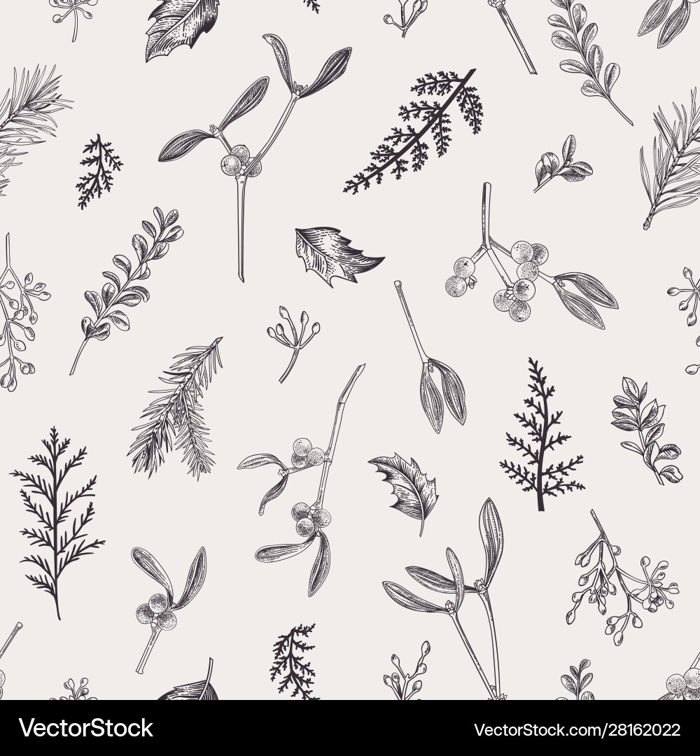 Winter Botanical Pattern Vector Image