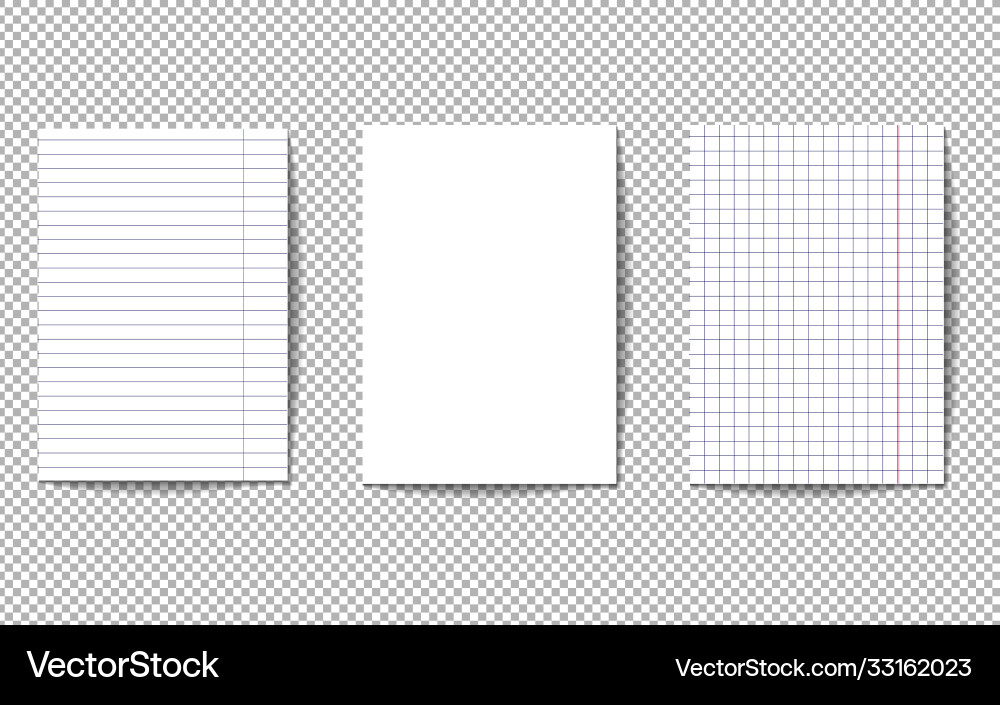 A set three pages notebook sheets vector image