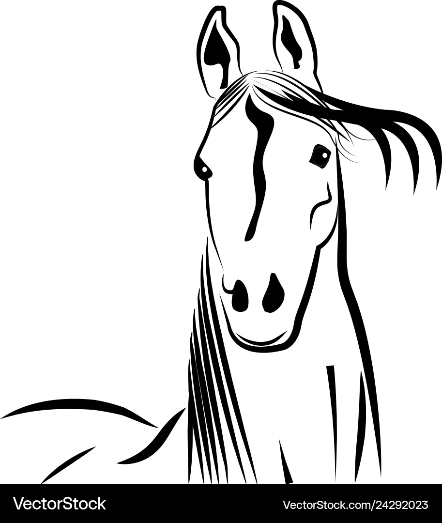 Elegant Horse Portrait Vector Image