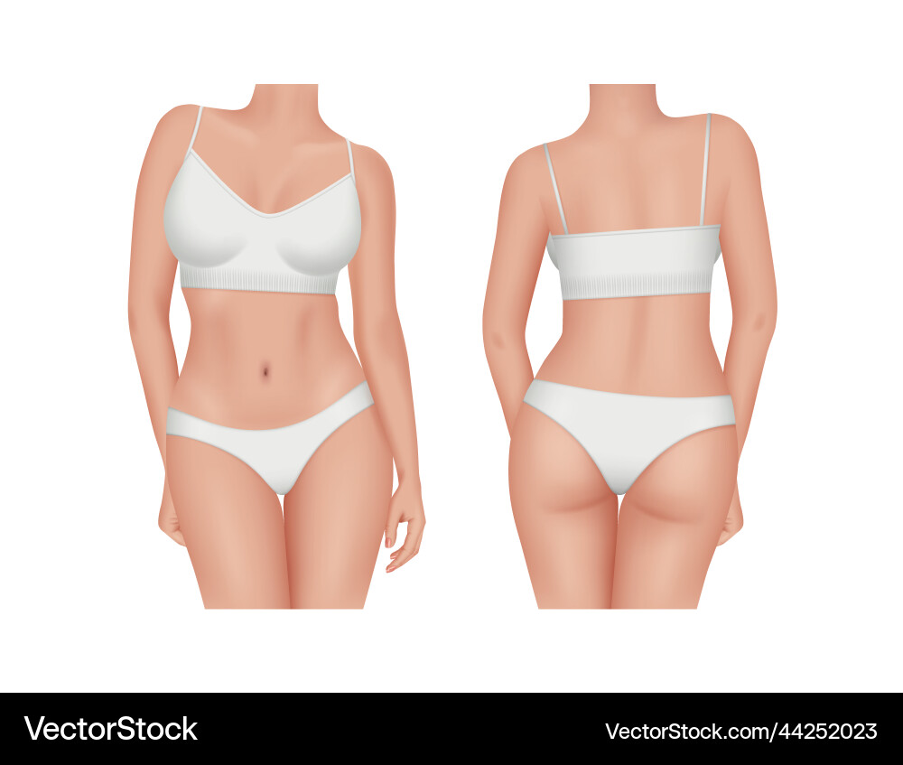 Female body front and back views of nude Vector Image