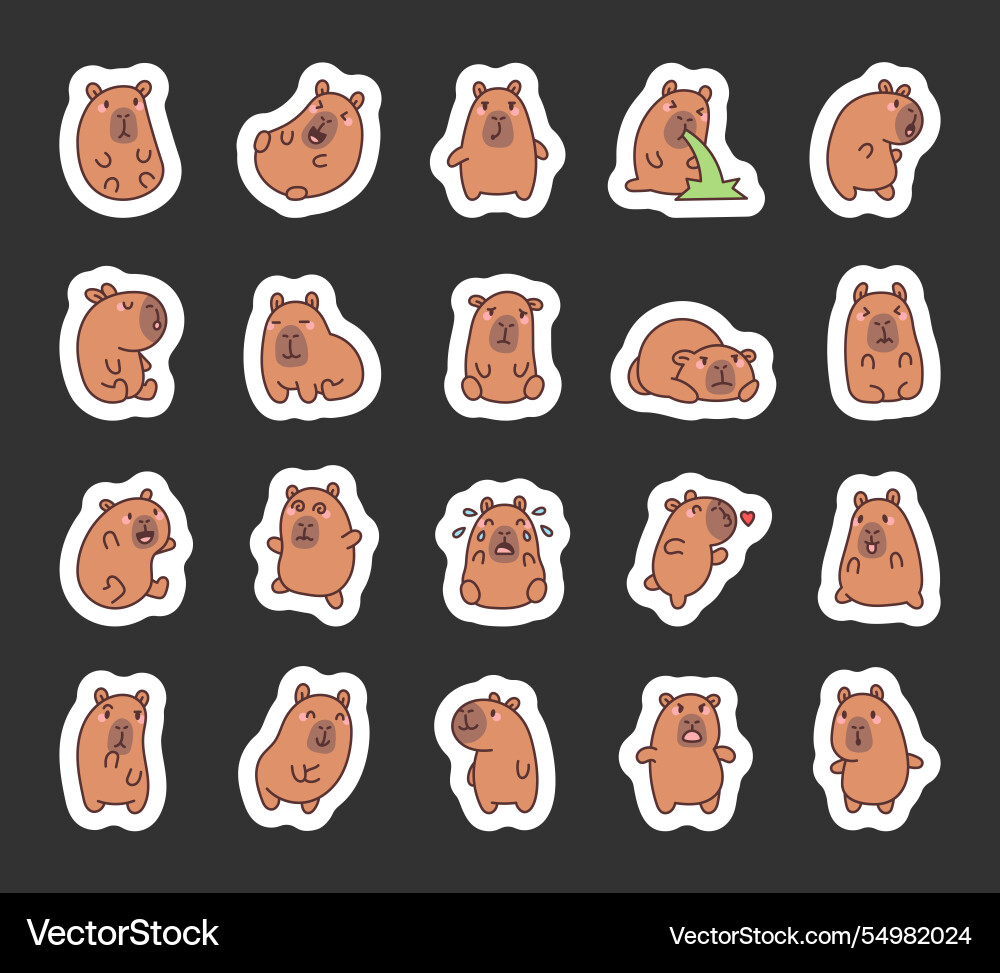 Charming set of capybara showcasing vector image
