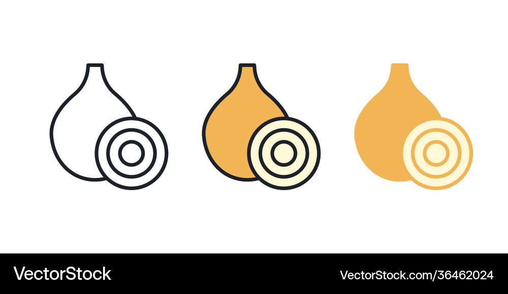 Onion icon linear color contour shape Onion icon linear color contour shape vector image