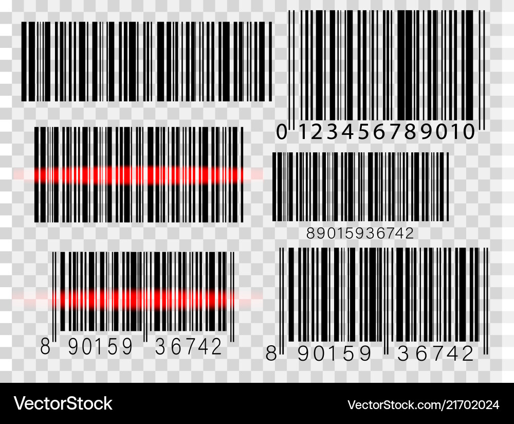 Set of barcodes isolated on white background Set of barcodes isolated on white background vector image