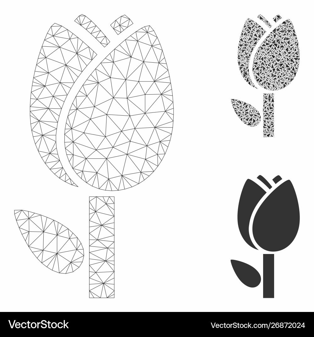 Tulip mesh wire frame model and triangle Tulip mesh wire frame model and triangle vector image