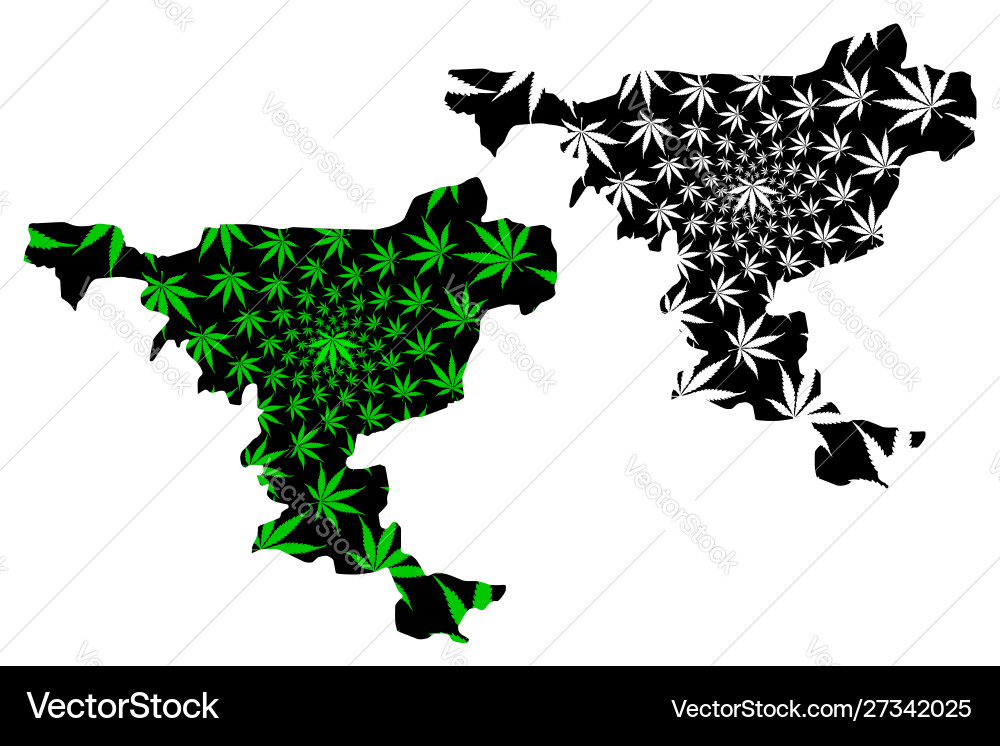 Jigawa state subdivisions nigeria federated Jigawa state subdivisions nigeria federated vector image